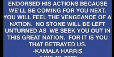 Fake Kamala Harris quote 