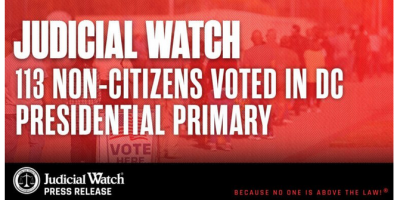 113 Non-Citizens Did NOT Vote 