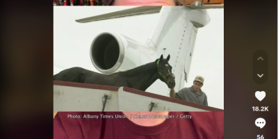 Air Horse One