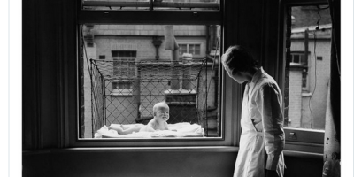 Apartment Windows in Baby Cages 