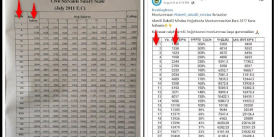 Ethiopia’s public sector