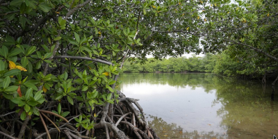 Florida state parks