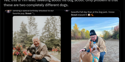  Theory About Tim Walz's Dog