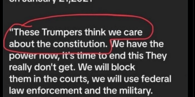 disregarding constitution is fake