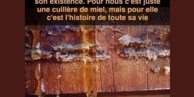 l’œuvre d’une vie