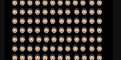 statistique ethnique publiée