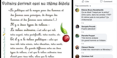 voleur politique
