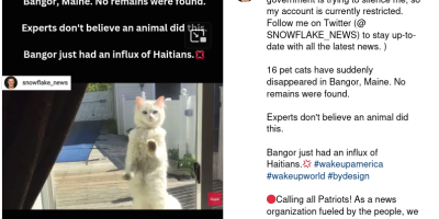 Haitians killing pet cats