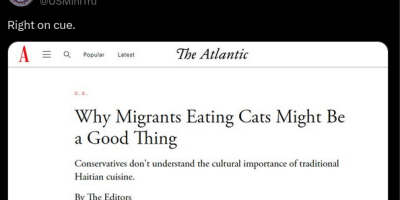 Why Migrants Eating Cats Might Be A Good Thing