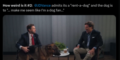 false 'rent-a-dog'