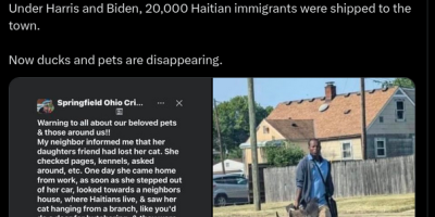 migrantes haitianos