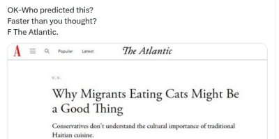 migrants eating cats