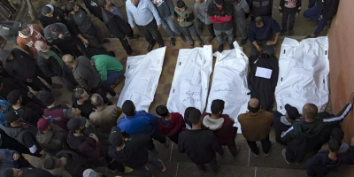 órganos de palestinos muertos