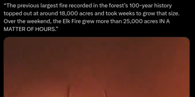 Elk Escaping Wyoming Wildfire In 2024 