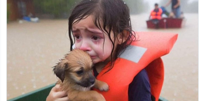 Girl With Puppy