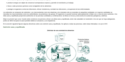 Una cucharada de miel al día